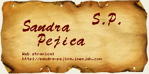 Sandra Pejica vizit kartica